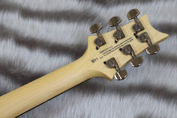 画像7: PRS (Paul Reed Smith) SE Swamp Ash CE 24 "Sandblasted" LTD / Sandblasted White 【2024年製】 (7)