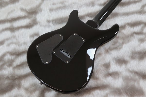 画像6: PRS (Paul Reed Smith) SE Custom 24 Blue Matteo 【2024年製】 (6)