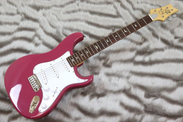 画像2: 【中古】PRS (Paul Reed Smith) SE Silver Sky Dragon Fruit 【2022年製】 (2)