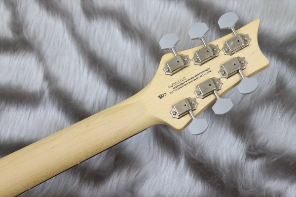 画像7: 【中古】PRS (Paul Reed Smith) SE Silver Sky Dragon Fruit 【2022年製】 (7)