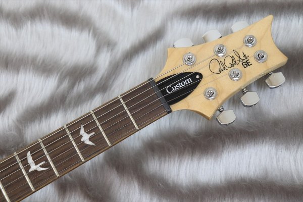 画像4: PRS (Paul Reed Smith) SE Custom 24-08 Turquoise 【2024年製】 (4)