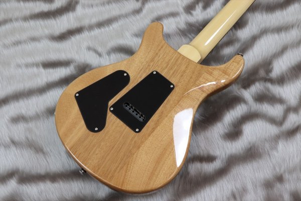 画像6: PRS (Paul Reed Smith) SE Custom 24-08 Turquoise 【2024年製】 (6)