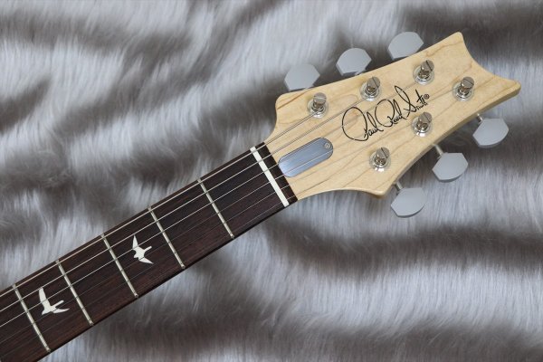 画像4: PRS (Paul Reed Smith) Bolt-On - Silver Sky Rosewood Dodgem Blue 【2023年製】 (4)