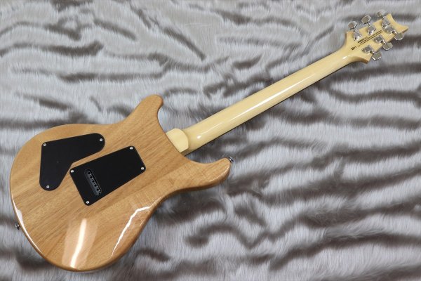 画像5: PRS (Paul Reed Smith) SE Custom 24-08 Turquoise 【2024年製】 (5)