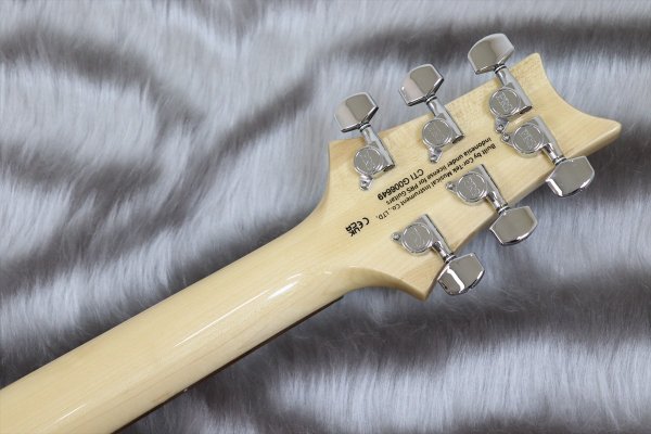 画像7: PRS (Paul Reed Smith) SE Custom 24-08 Turquoise 【2024年製】 (7)