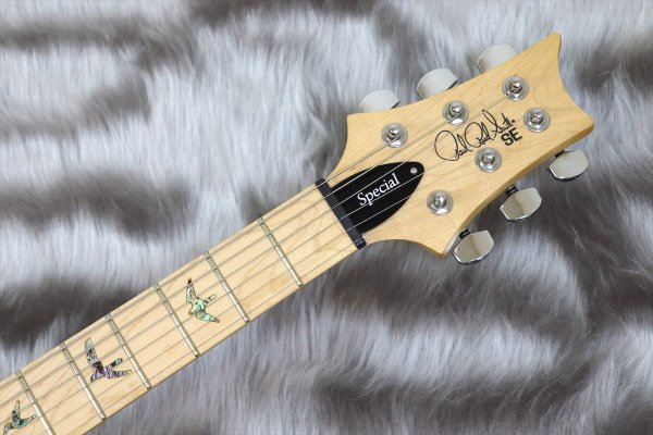 画像4: PRS (Paul Reed Smith) SE Swamp Ash Special Charcoal 【2023年製】 (4)