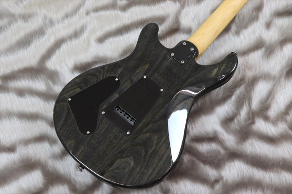 画像6: PRS (Paul Reed Smith) SE Swamp Ash Special Charcoal 【2023年製】 (6)
