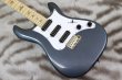 画像8: PRS (Paul Reed Smith)　SE NF3 Maple Gun Metal Gray 【2024年製】 (8)