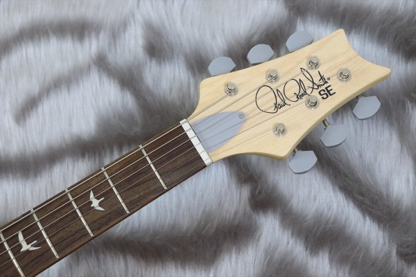 画像4: PRS (Paul Reed Smith)　SE Silver Sky Rosewood Storm Gray 【2024年製】 (4)