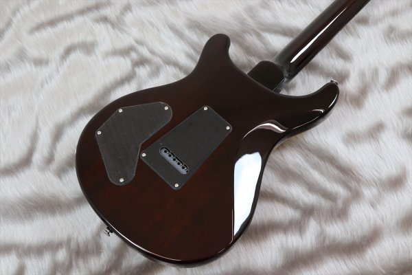 画像6: PRS (Paul Reed Smith)　SE DGT [MOONS] Gold Top 【2024年製】 (6)