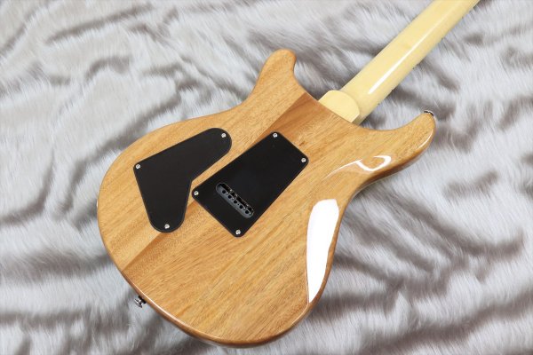 画像6: PRS (Paul Reed Smith) SE Custom 24 Quilt Package Eriza Verde 【2023年製】 (6)