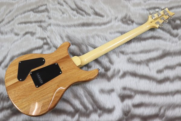 画像5: PRS (Paul Reed Smith) SE Custom 24 Quilt Package Eriza Verde 【2023年製】 (5)