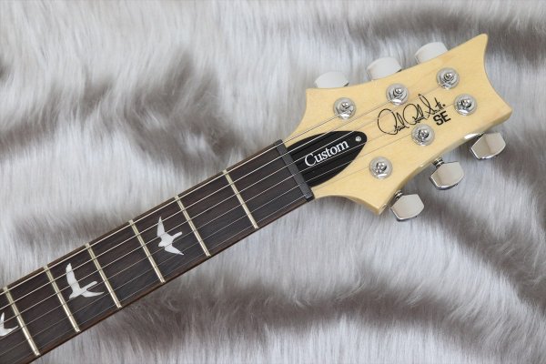 画像4: PRS (Paul Reed Smith) SE Custom 24-08 Blood Orange 【2024年製】 (4)