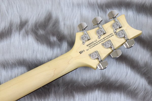 画像7: PRS (Paul Reed Smith) SE NF3 Gun Metal Gray 【2024年製】 (7)