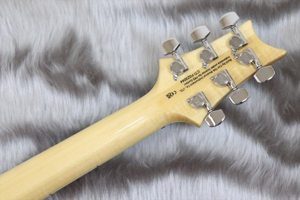 画像7: PRS (Paul Reed Smith) SE Custom 24 Quilt Package Eriza Verde 【2023年製】 (7)