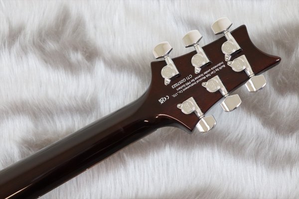 画像7: PRS (Paul Reed Smith)　SE DGT [MOONS] Gold Top 【2024年製】 (7)