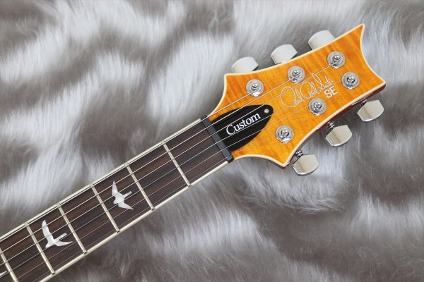 画像4: PRS (Paul Reed Smith) SE Custom 24 Semi-Hollow Piezo Vintage Sunburst 【2024年製】 (4)
