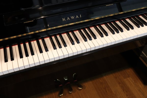 画像3: 【送料別・代引不可】KAWAI HA-20(中古) (3)
