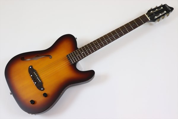 画像2: SCHECTER OL-FL-N-P TSB (2)