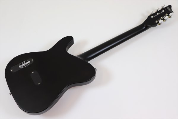 画像5: SCHECTER OL-FL-N-P TSB (5)