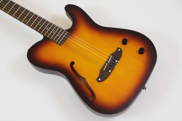 画像8: SCHECTER OL-FL-N-P TSB (8)