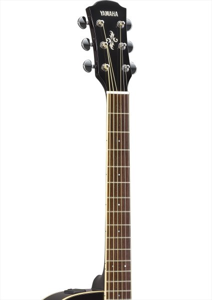 画像3: YAMAHA APX600 BL (3)