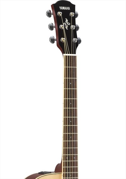 画像3: YAMAHA APX600 NT (3)