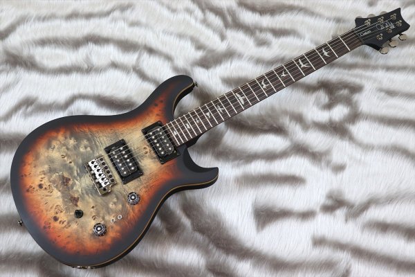 画像2: PRS (Paul Reed Smith) Custom 24-08 Poplar Burl Limited Edition Charcoal Cherry Midnight Burst  【2024年製】 (2)