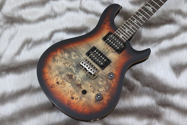 画像3: PRS (Paul Reed Smith) Custom 24-08 Poplar Burl Limited Edition Charcoal Cherry Midnight Burst  【2024年製】 (3)
