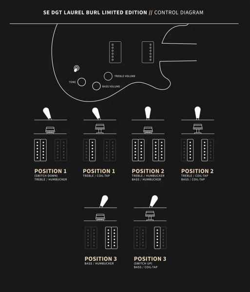 画像9: PRS (Paul Reed Smith) SE DGT Laurel Burl Limited Edition McCarty Tobacco Burst  【2024年製】 (9)
