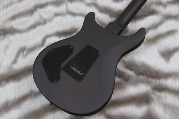 画像6: PRS (Paul Reed Smith) SE DGT Laurel Burl Limited Edition McCarty Tobacco Burst  【2024年製】 (6)