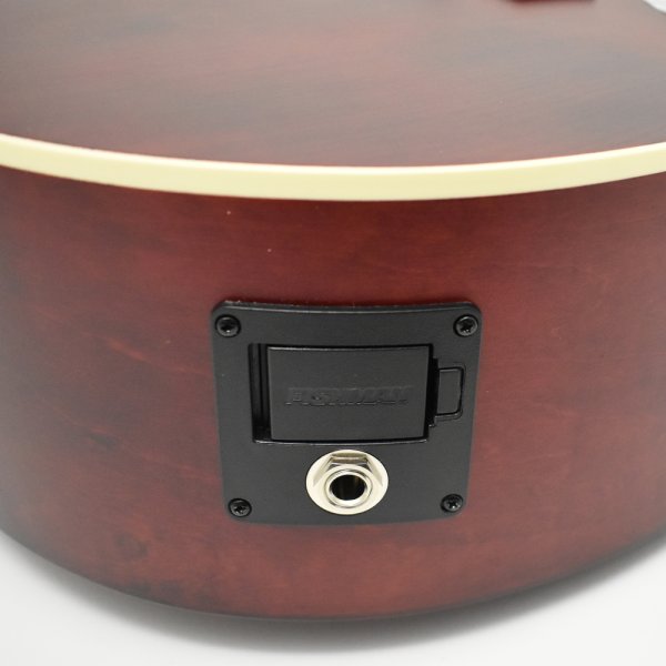 画像6: S.yairi Primera Series YEF-01/WRD (6)