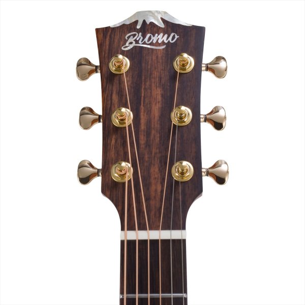 画像5: Bromo Guitars　ROCKY SERIES BAR4GCE (5)