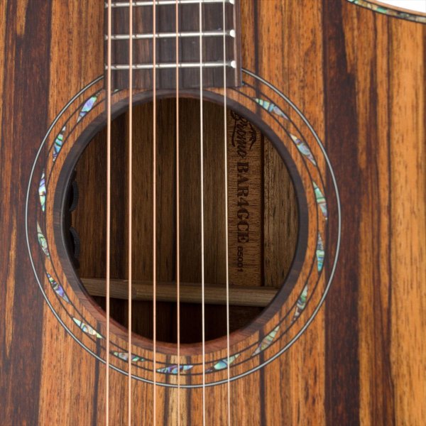 画像6: Bromo Guitars　ROCKY SERIES BAR4GCE (6)