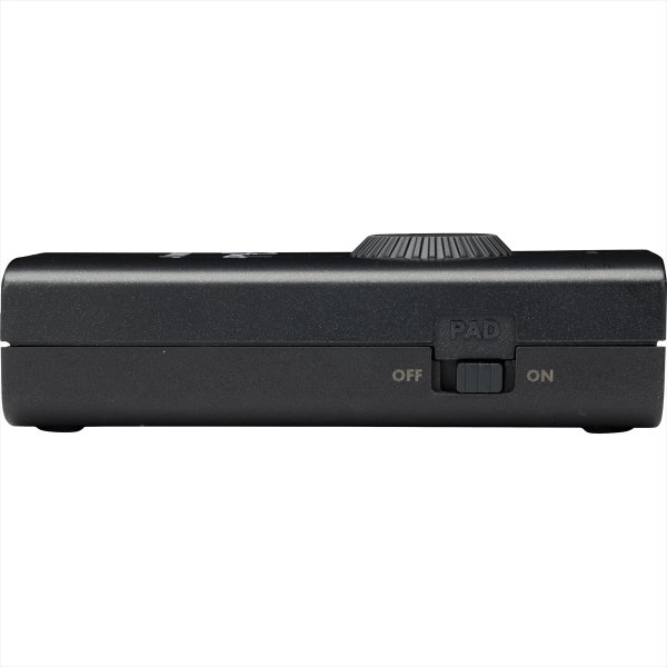 画像4: Fender Fender Link I/O (4)