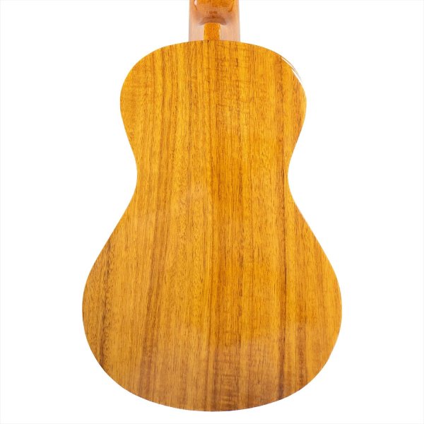 画像5: Famous コンサートウクレレ FC-5G (5)