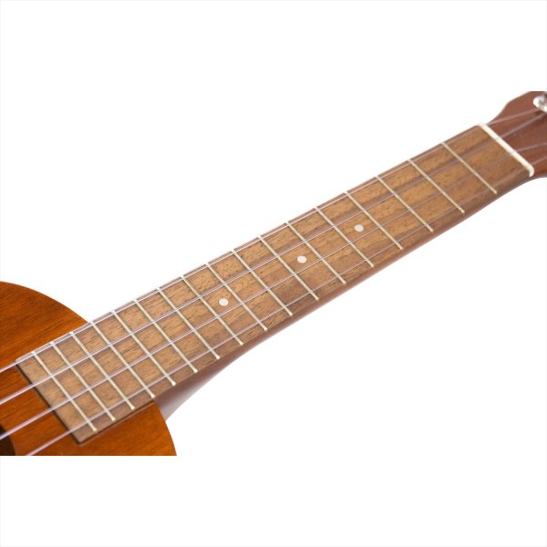 画像6: Famous コンサートウクレレ FC-1G (6)