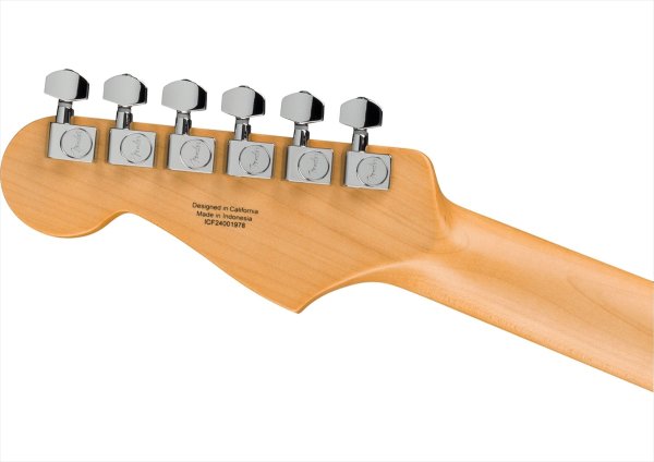 画像5: Fender Standard Stratocaster Candy Cola (5)