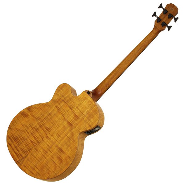 画像2: Aria　FEB-F2/FL STBR (2)