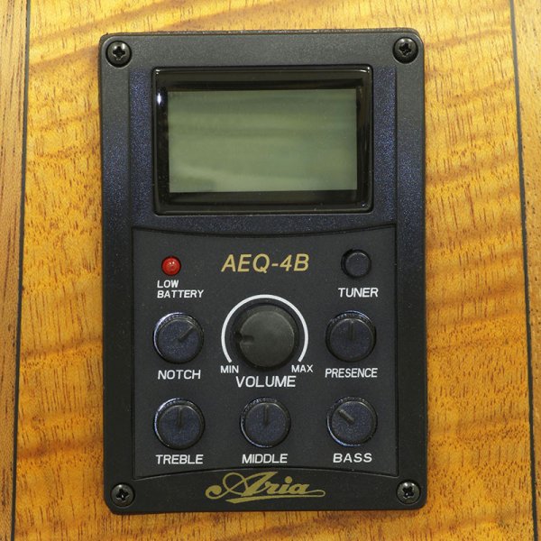 画像4: Aria　FEB-F2/FL STBR (4)