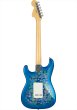 画像2: Fender　Made in Japan Limited Stratocaster Blue Flower (2)