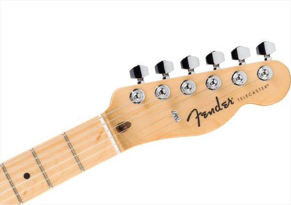 画像4: Fender　Standard Telecaster Butterscotch Blonde (4)
