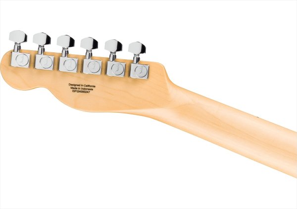 画像5: Fender　Standard Telecaster Butterscotch Blonde (5)