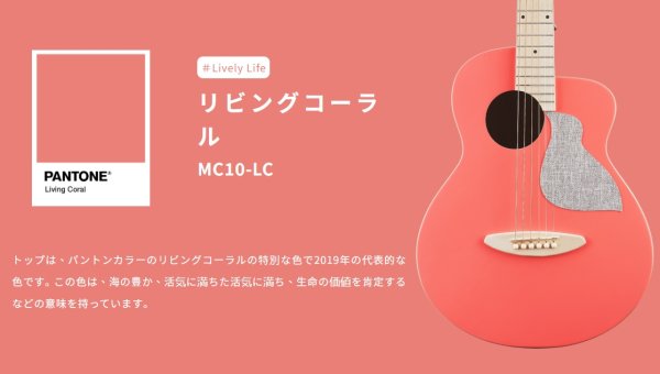 画像2: aNueNue　トラベルサイズ aNN-MC10-LC Living Coral (2)