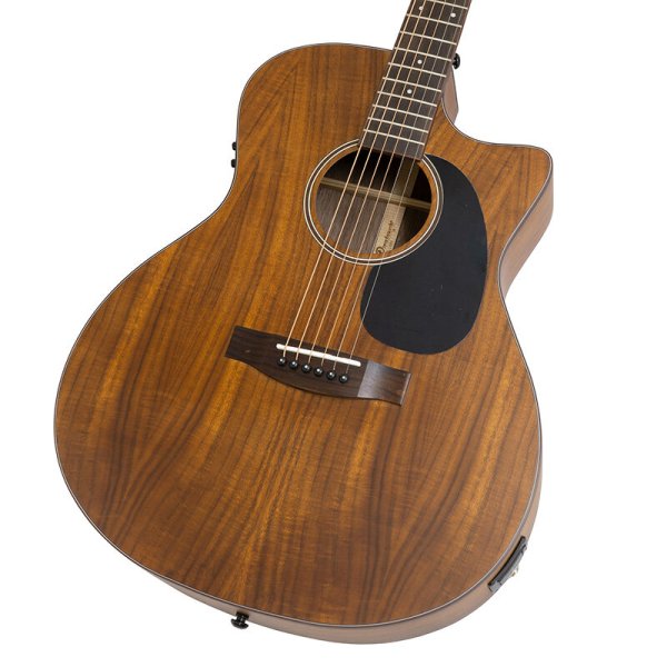 画像3: Aria Dreadnought AF-107KACE MTN (3)