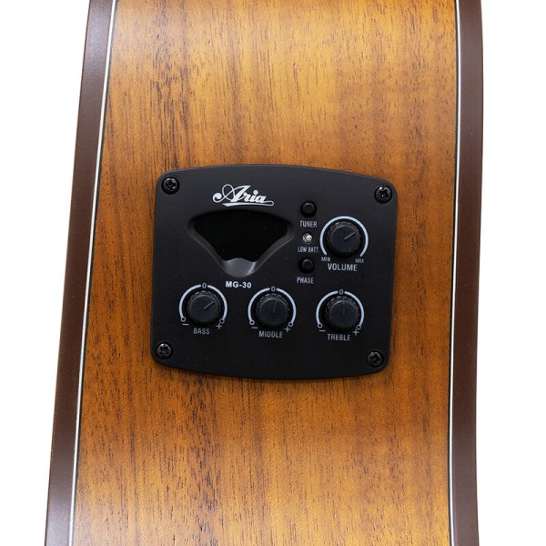 画像4: Aria Dreadnought AF-107KACE MTN (4)