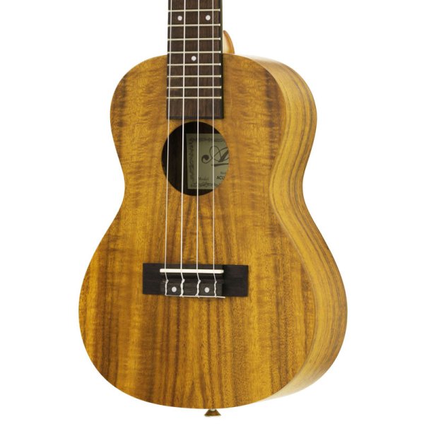 画像3: Aria　ACU-1K -Concert- (3)