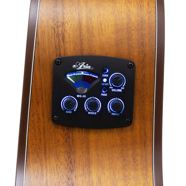 画像5: Aria Dreadnought AF-107KACE MTN (5)