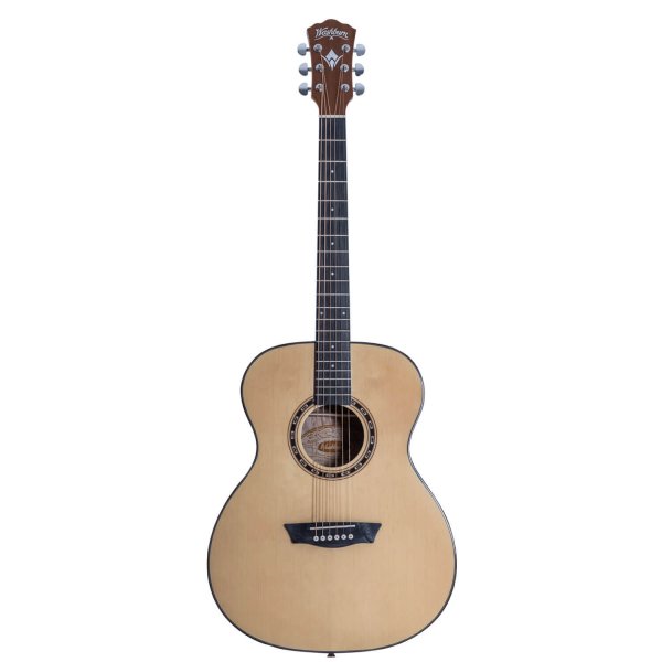 画像1: Washburn Guitars　Apprentice Series F5 (1)