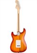 画像2: Squier by Fender Affinity Series Stratocaster FMT HSS Sienna Sunburst (2)